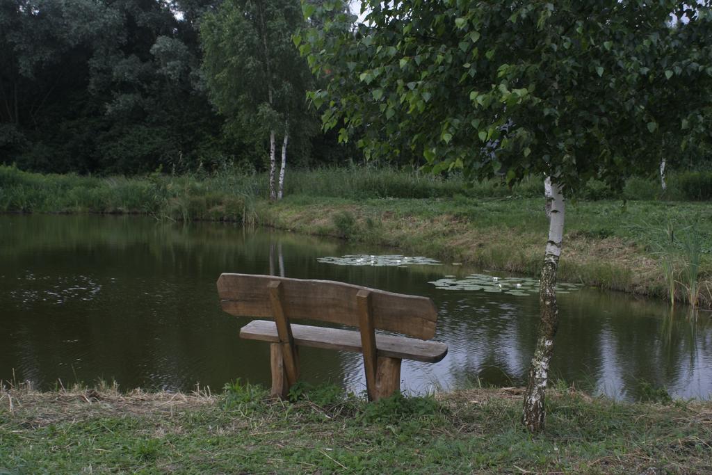 Stajnia Sarnówek Acomodação com café da manhã Rozajny Wielkie Exterior foto